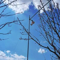 نصب دوربین مدابسته دزدگیرسیستم های امنیتی گلپایگان