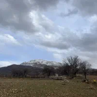 همخونه-همخانه