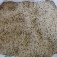 برنج محلی فجر