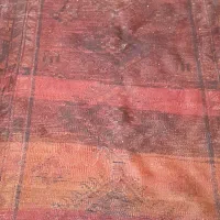 قالی ۸۰ ساله عتیقه|فرش|اهواز, زندوکیلی|دیوار