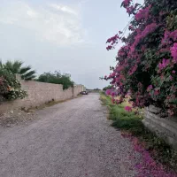 زمین جاده خوشبختی کوچه باغ فاران