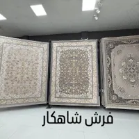 فرش خلیج فارس ۱۲۰۰شانه نخ مخمل تاپس|فرش|شیراز, شهرک سراج‎|دیوار
