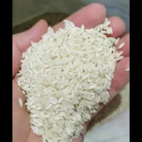 برنج چمپا درجه یک پخت عالی