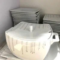 ظروف سرو پذیرایی