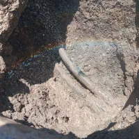 نشت یابی و مشخص کردن محل ترکیدگی|خدمات پیشه و مهارت|بیرجند, |دیوار