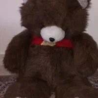 خرس بزرگ قهوه‌ای