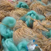 تور ماهیگیری|ماهیگیری|اردبیل, |دیوار