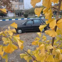 پراید ۸۲ تمیز خانگی تمیز سالم