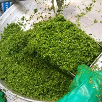 پخش عمده سبزی خرد شده|خوردنی و آشامیدنی|تهران, بیسیم|دیوار