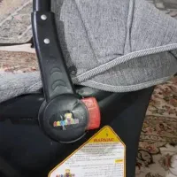 کریر نو نو معاوضه با کفتر یا عروس هلندی دستی|کالسکه و لوازم جانبی|شیراز, اصلاح‌نژاد|دیوار