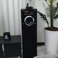 اسپیکر ایستاده داتیس