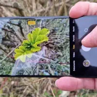 گوشی شیامی redmi note 12 por 5g