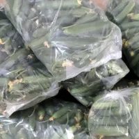 خیار گلخانه