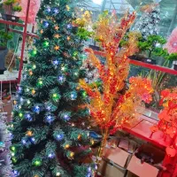 وارد کننده کاج کریسمس|گل مصنوعی|پاکدشت, پاکدشت (مامازند)|دیوار