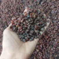 کشمش صددرصد آفتابی (درگز ) و (کاشمر) مخصوص آبگیری