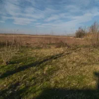 زمین-کشاورزی-چند-سال-خشک-شده-نزدیک-مسکونی