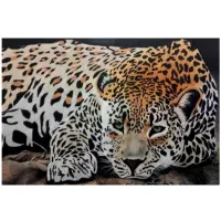 تابلو نقاشی رنگ روغن طرح پلنگ