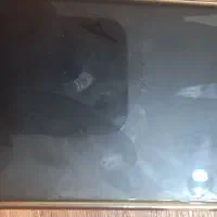 ایفون۱۲ نرمال|موبایل|سلماس, |دیوار