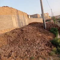 کودگاوی