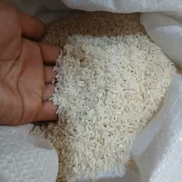 برنج سالم دورود سالم ۵۰۰ به شرط