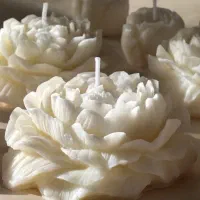 شمع دستساز گل آلاله|صنایع دستی و سایر لوازم تزئینی|کامیاران, |دیوار