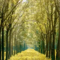 ورزش و طبیعت گردی