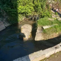 انجام کارهای روزمره خانه