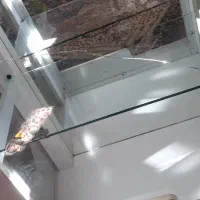 بوفه|بوفه، ویترین، کنسول|نگین شهر, |دیوار