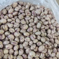 لوبیا سفید ولوبیا چیتی فروشی|خوردنی و آشامیدنی|اسلام‌شهر, شهرک لاله|دیوار