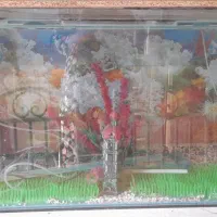 آکواریوم ۲عدد