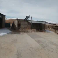 گاوداری صنعتی