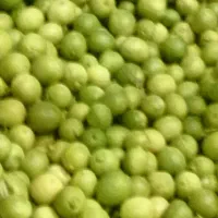 فروش زمین کشاورزی ابی|فروش دفتر صنعتی، کشاورزی، تجاری|سوق, |دیوار