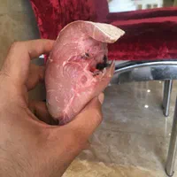 سفارش ماهی و میگو از بوشهر، تحویل درب منزل|خوردنی و آشامیدنی|تهران, بلورسازی|دیوار