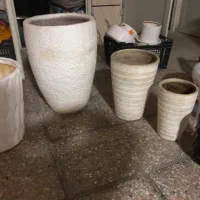 گلدان|گل و گیاه طبیعی|مشهد, کوثر|دیوار