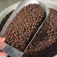 قهوه|کافی‌شاپ و رستوران|بوکان, |دیوار