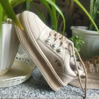 کفش|کیف، کفش، کمربند|لردگان, |دیوار