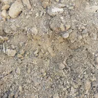 کود گوسفندی|لوازم جانبی حیوانات|یزد, |دیوار