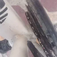 دوچرخه ژردن|دوچرخه، اسکیت، اسکوتر|شیراز, کوشک میدان|دیوار