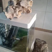 تعدادی لوازم سالم ساعت سالم قلیون برنجوب|حراج|زرندیه, |دیوار