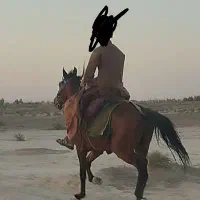 اسب معامله میکنم با موتور
