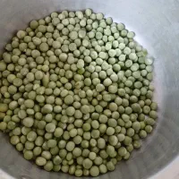 Nokhud|خوردنی و آشامیدنی|احمدسرگوراب, |دیوار