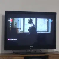 تلوزیون