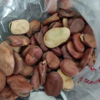 باقلا ، باقله هفت بند