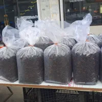 چای قهوه خانه فقط و فقط 50