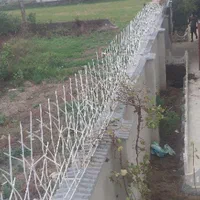 پخش شاخ گوزنی همراه با نصب|مصالح و تجهیزات ساختمان|آمل, |دیوار