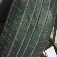 لاستیک۲۰۵ ال نود یا سمند