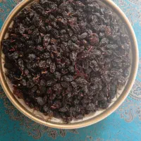 حدود ۳۰ لیتر عرق خار مریم به فروش میرسد