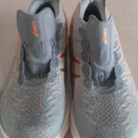 کتانی برند asiks|کیف، کفش، کمربند|شهریار, شهریار|دیوار