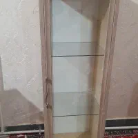 کابینت ویترینی برای باغ|کتابخانه، شلف، قفسههای دیواری|مرند, |دیوار