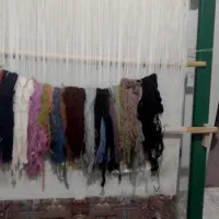 قالی